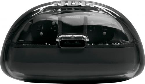 Наушники JBL Tune Flex 2 Ghost Black