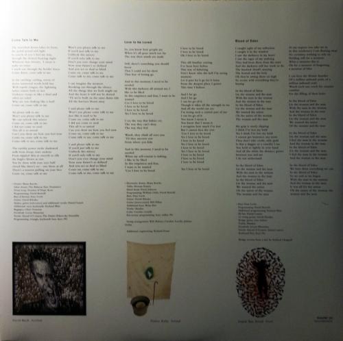 Виниловая пластинка Peter Gabriel, Us