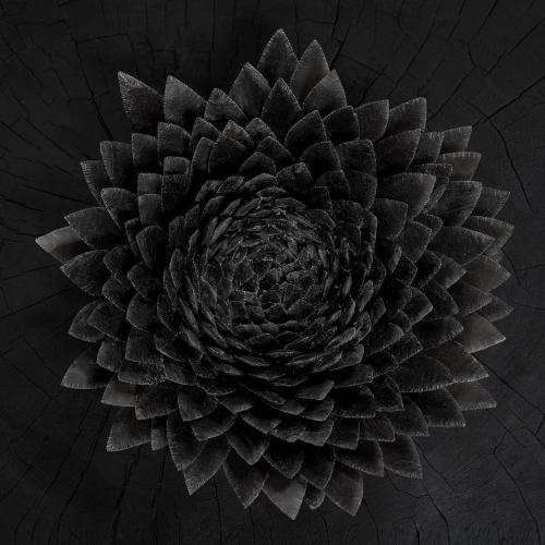 Виниловая пластинка Jonsi - Obsidian (Black Gold Galaxy Vinyl 2LP)