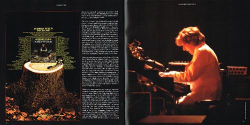 Виниловая пластинка Jethro Tull SONGS FROM THE WOOD