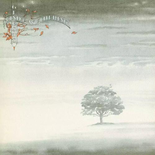 Виниловая пластинка Genesis - Wind And Wuthering (Black Vinyl LP)