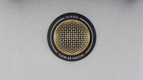 Акустика центрального канала Gold Note Diana Center Grey (Gold tweeter)