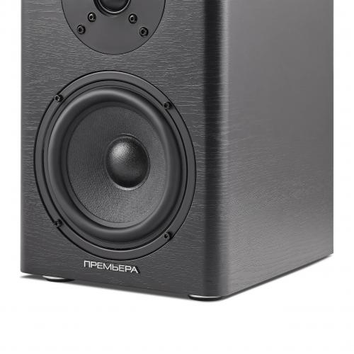 Акустическая система Premiera ES-501A BK