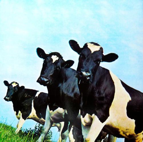 Виниловая пластинка Pink Floyd ATOM HEART MOTHER