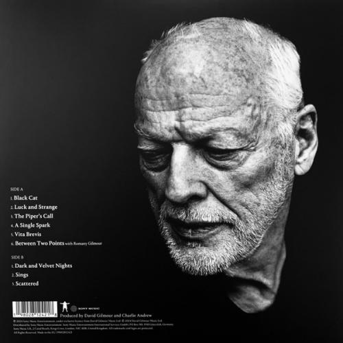 Виниловая пластинка David Gilmour - Luck And Strange (Translucent Sea Blue LP)