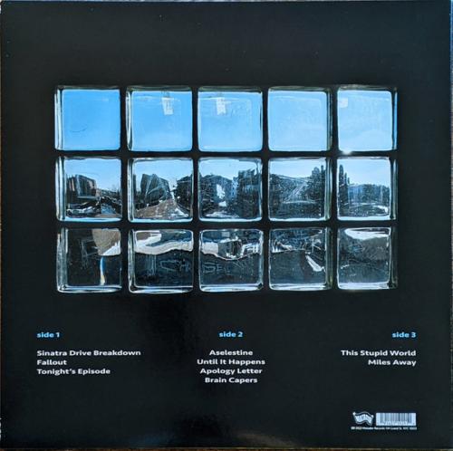 Виниловая пластинка Yo La Tengo -  This Stupid World (Black Vinyl 2LP)