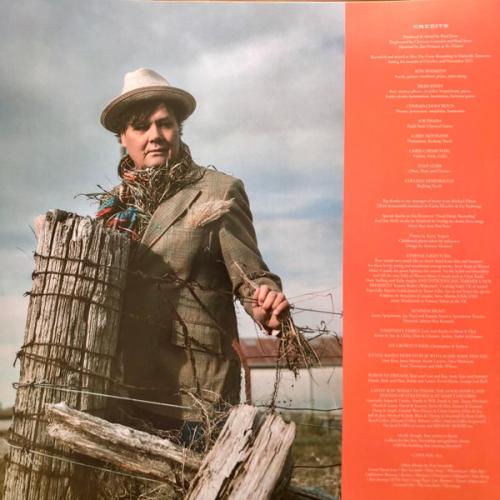 Виниловая пластинка Ron Sexsmith - The Vivian Line (BlackVinyl LP)