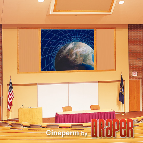 Экран Draper Cineperm HDTV (9:16) 302/119" 147*264 M1300 (XT1000V)  250120