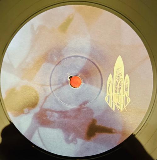 Виниловая пластинка At The Gates - With Fear I Kiss The Burning Darkness (Black Vinyl LP)