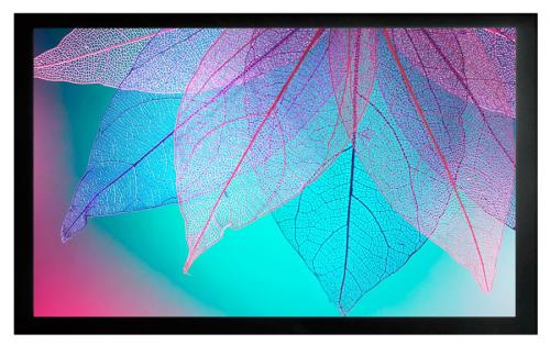 Экран на раме Cactus FrameExpert CS-PSFRE-220x124
