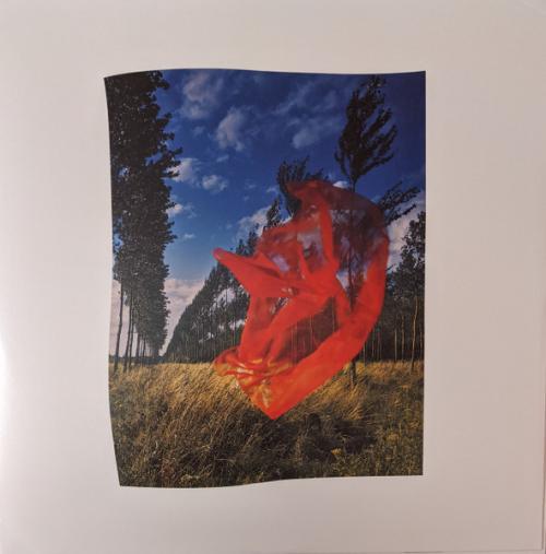 Виниловая пластинка Pink Floyd - Wish You Were Here (Black Vinyl LP)