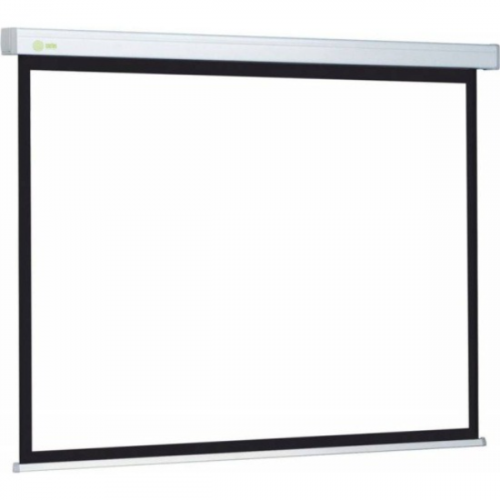 Экран Cactus Wallscreen CS-PSW-124x221