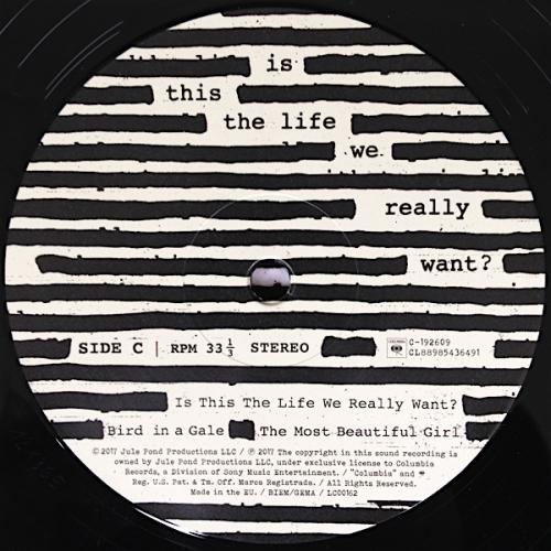 Виниловая пластинка Roger Waters Is This The Life We Really Want? (180 Gram/Gatefold)