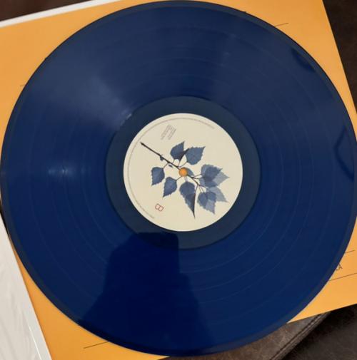 Виниловая пластинка Matt Berninger - Get Sunk (Translucent Cobalt Vinyl LP)