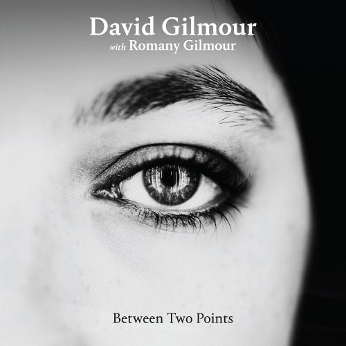 Виниловая пластинка David Gilmour - Between Two Points (V12) (Clear Vinyl LP)