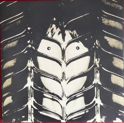 Виниловая пластинка Chris Squire - Fish Out Of Water (Black Vinyl LP)