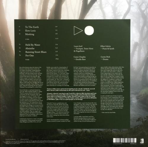Виниловая пластинка Dinosaur - To The Earth (Black Vinyl LP)