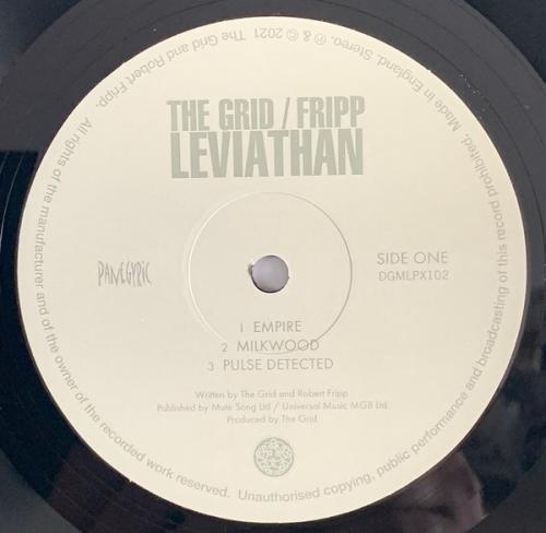 Виниловая пластинка Robert Fripp; The Grid - Leviathan (Black Vinyl 2LP)