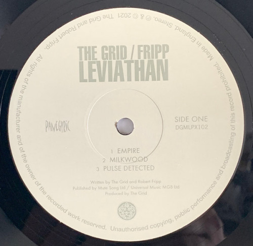 Виниловая пластинка Robert Fripp; The Grid - Leviathan (Black Vinyl 2LP)