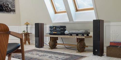 Напольная акустика Dali Oberon 5 light oak