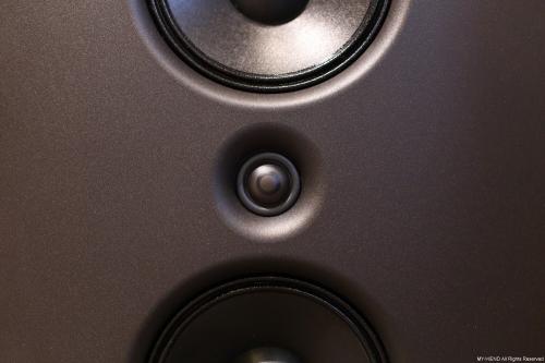 Напольная акустика Stenheim Reference Ultime Two Black