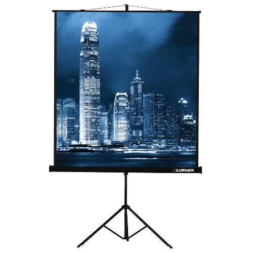 Экран Lumien Master View (1:1) 244x244 см Matte White LMV-100105