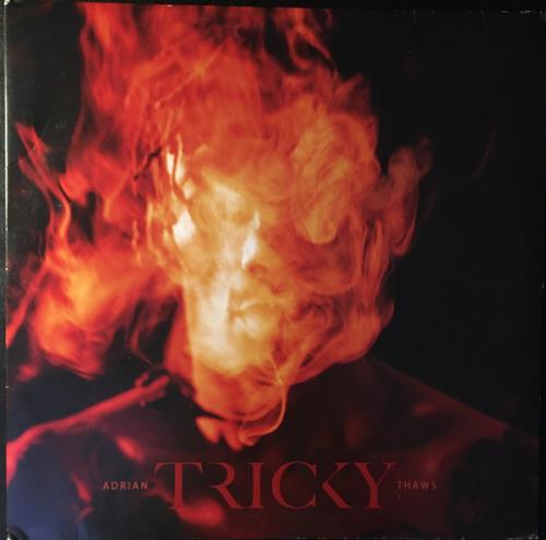 Виниловая пластинка Tricky - Adrian Thaws (Black Vinyl 2LP)