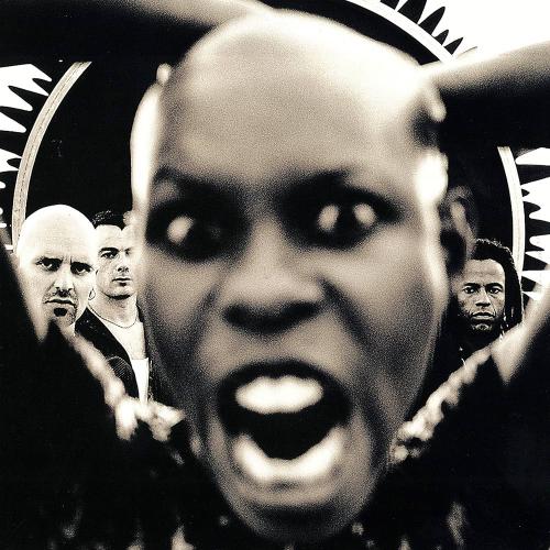 Виниловая пластинка Skunk Anansie -  Stoosh (Black Vinyl LP)
