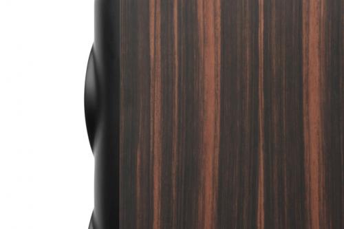 Напольная акустика Perlisten Audio S5t Ebony High Gloss
