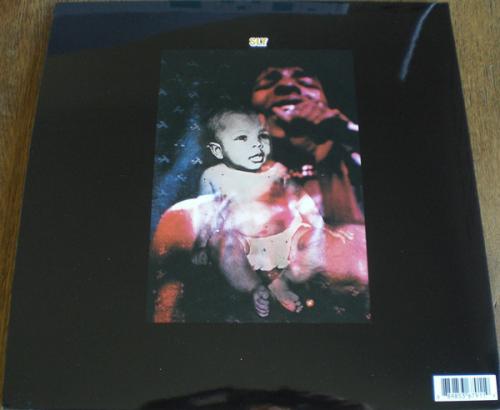 Виниловая пластинка Sly & the Family Stone STAND!