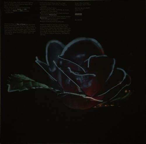 Виниловая пластинка Beach House - Depression Cherry (Black Vinyl LP)