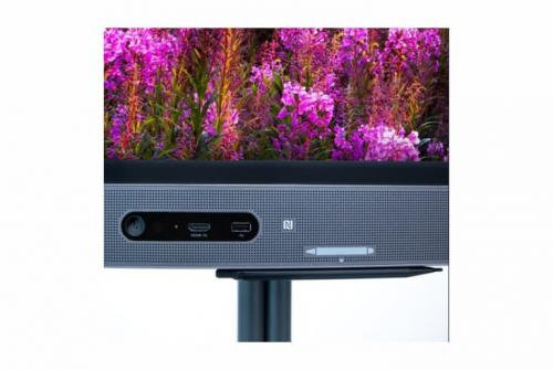 ВКС-терминал со встроенным интерактивным дисплеем EliteBoard LK-65-S