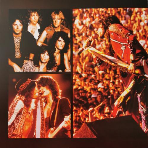 Виниловая пластинка Aerosmith -  Greatest Hits (Box) (Black Vinyl 4LP)