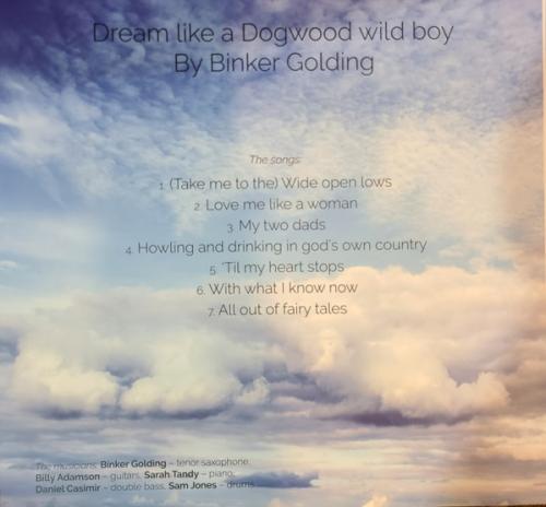 Виниловая пластинка Binker Golding - Dream Like A Dogwood Wild Boy (Black Vinyl LP)