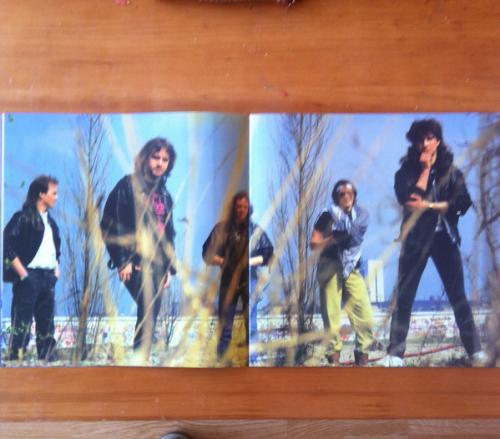 Виниловая пластинка Marillion MISPLACED CHILDHOOD (DELUXE/BOX SET)