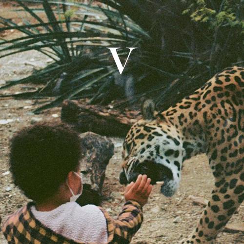Виниловая пластинка Unknown Mortal Orchestra - V (Black Vinyl 2LP)