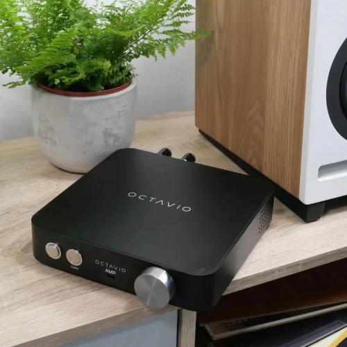 Интегральный усилитель Octavio Amp 100W