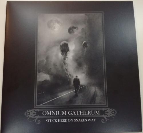 Виниловая пластинка Omnium Gatherum, Stuck Here On Snakes Way