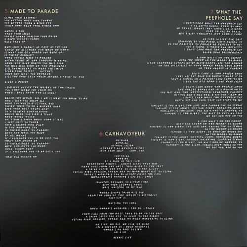 Виниловая пластинка Queens Of The Stone Age - In Times New Roman… (Silver Vinyl LP)