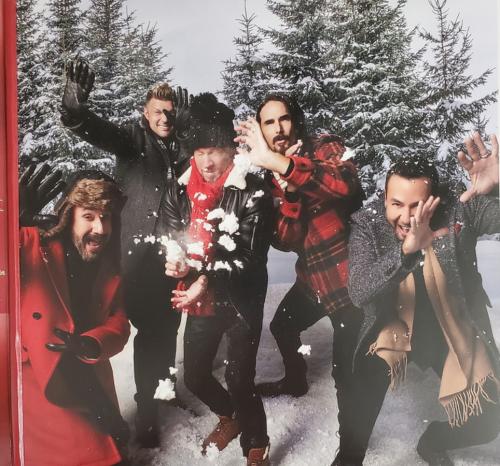 Виниловая пластинка Backstreet Boys - A Very Backstreet Christmas (Coloured Vinyl LP)