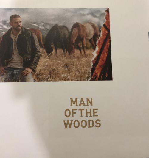 Виниловая пластинка Justin Timberlake Man Of The Woods (Gatefold/+Poster)