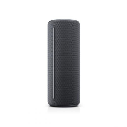 Портативная Bluetooth-колонка Loewe We. HEAR 2 Storm Grey