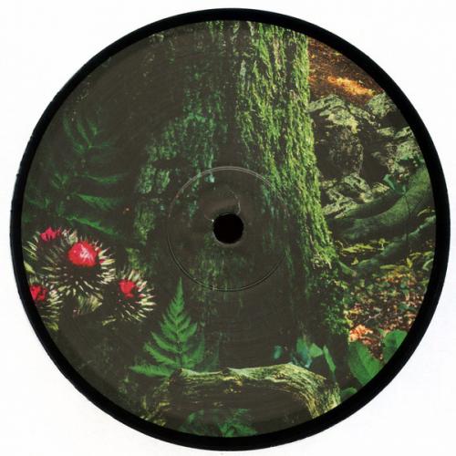 Виниловая пластинка David Sylvian - Manafon (Black Vinyl 2LP)