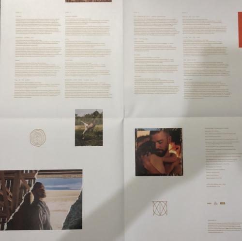 Виниловая пластинка Justin Timberlake Man Of The Woods (Gatefold/+Poster)