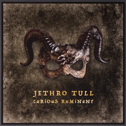 Виниловая пластинка Jethro Tull - Curious Ruminant (Black Vinyl LP)