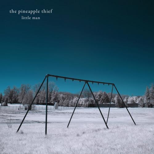 Виниловая пластинка The Pineapple Thief - Little Man (Black Vinyl 2LP)