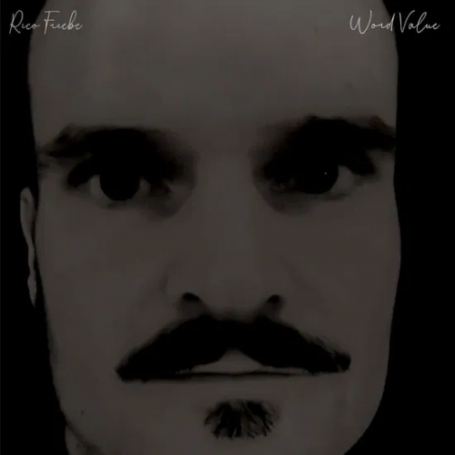 Виниловая пластинка Rico Friebe - Word Value (White Vinyl LP)