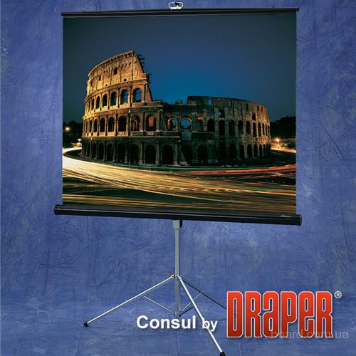 Экран Draper Consul NTSC (3:4) 244/96" (100", 8') 152*203 MW (XT1000E)   216021