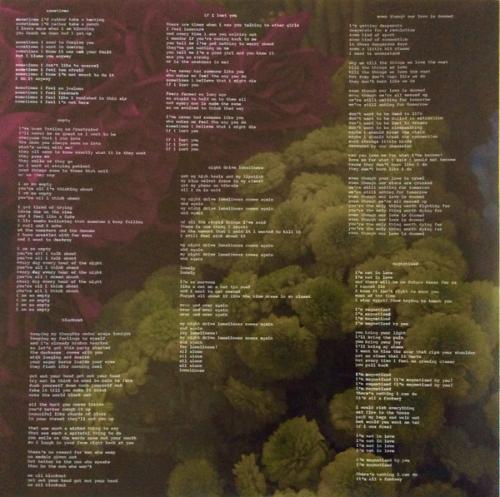 Виниловая пластинка Garbage - Strange Little Birds (180 Gram Black Vinyl 2LP)