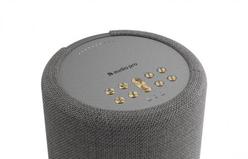 Портативная колонка Audio Pro A10 MkII W Dark Grey